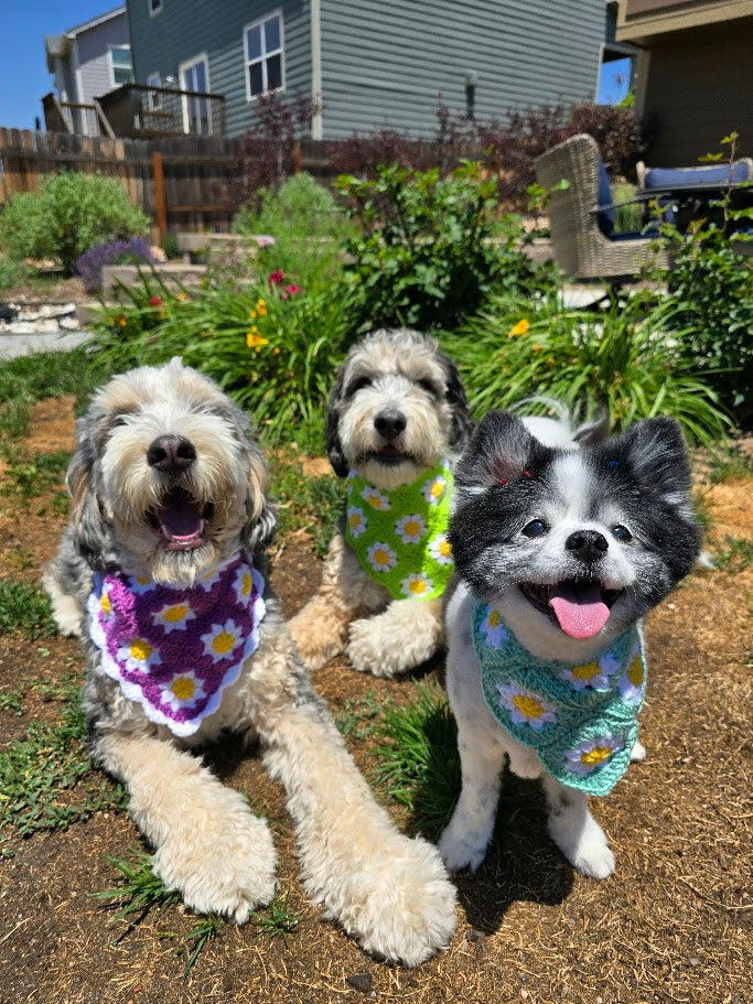 Daisy Granny Square Bandana
