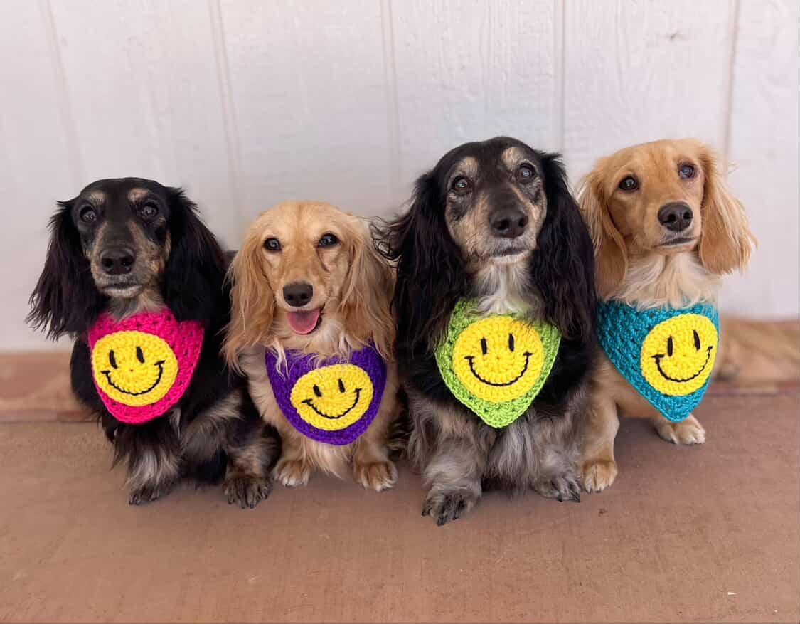 Smiley Face Bandana