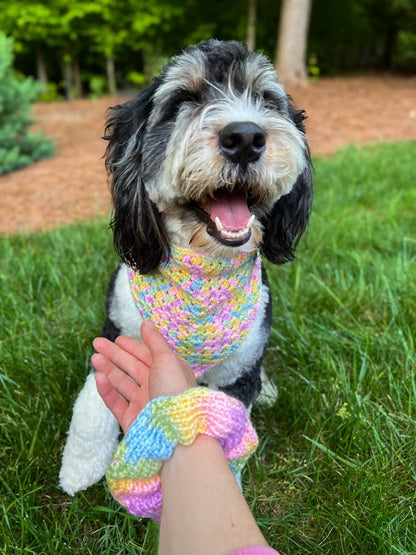 Yarn of the Month Solid Bandana