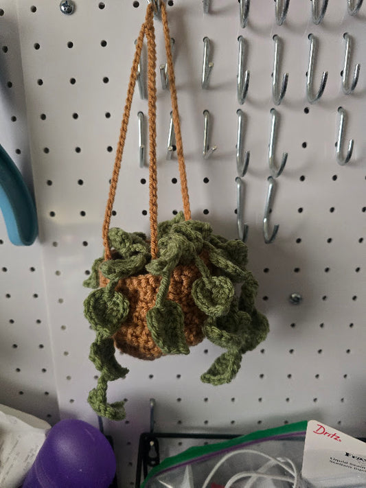 Hanging Pothos Plant