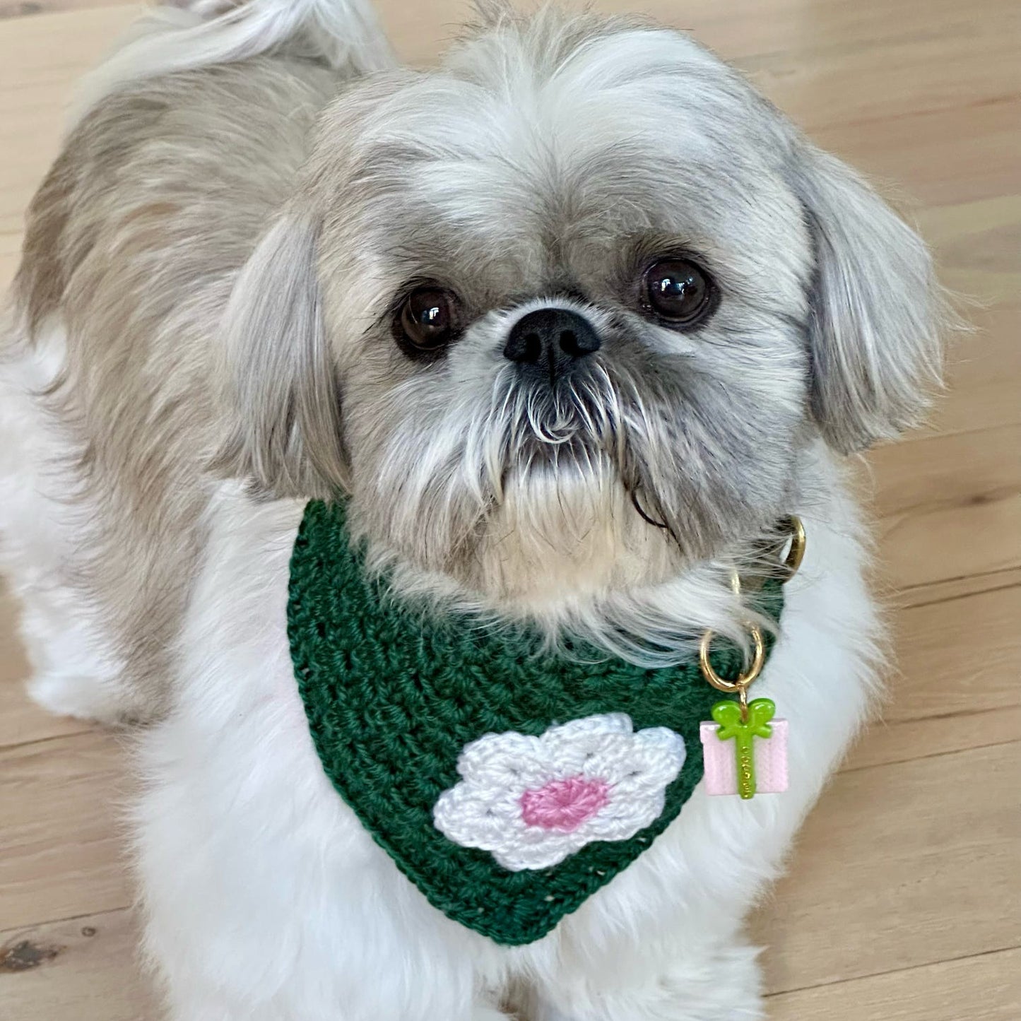 Oopsie Daisy Bandana