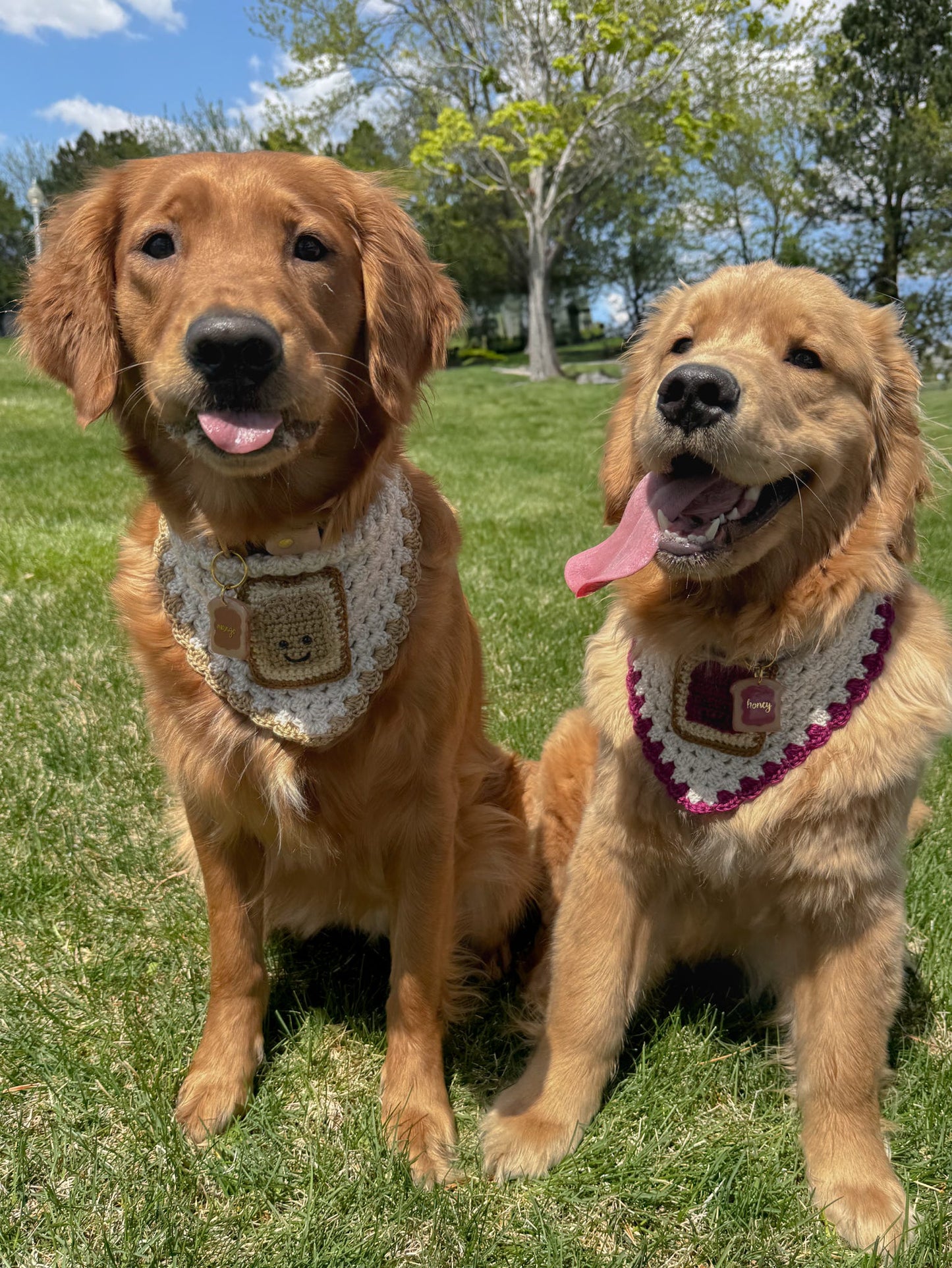 You're My Jam Bandana