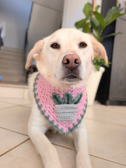 Water Me Never Bandana