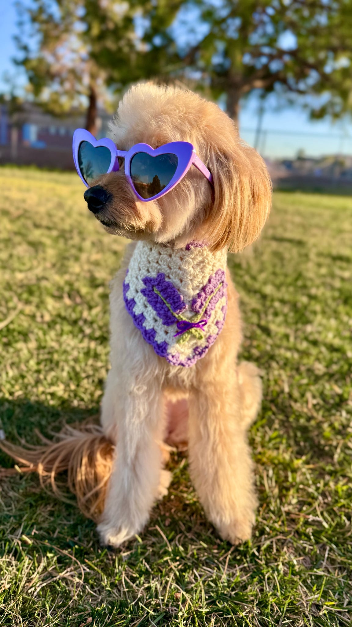 Lavender Dream Bandana
