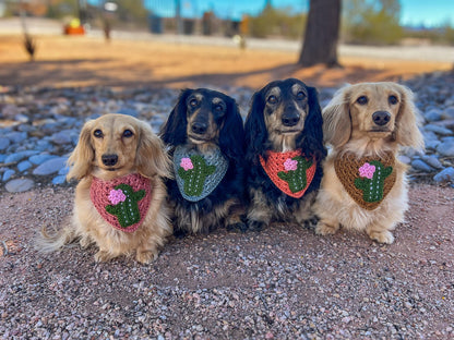 Prickly Business Bandana
