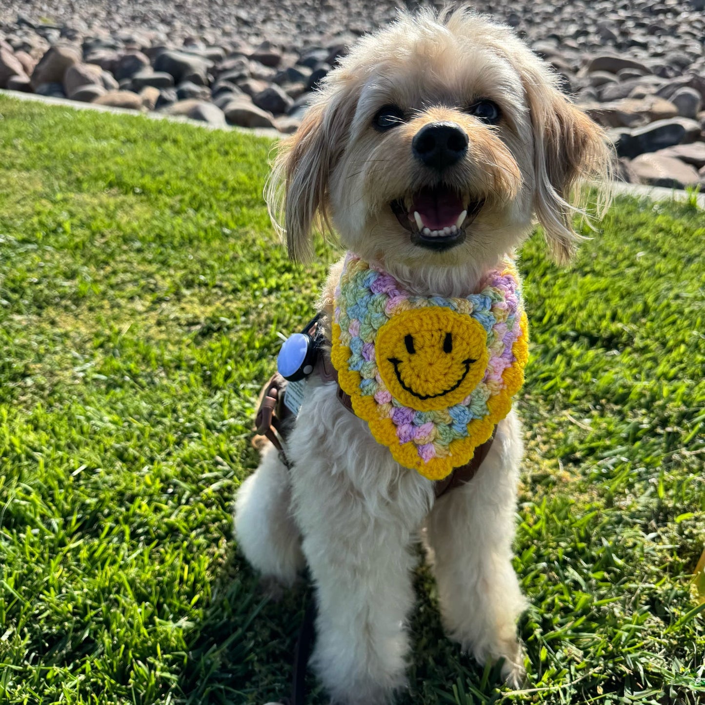 Smiley Face Bandana