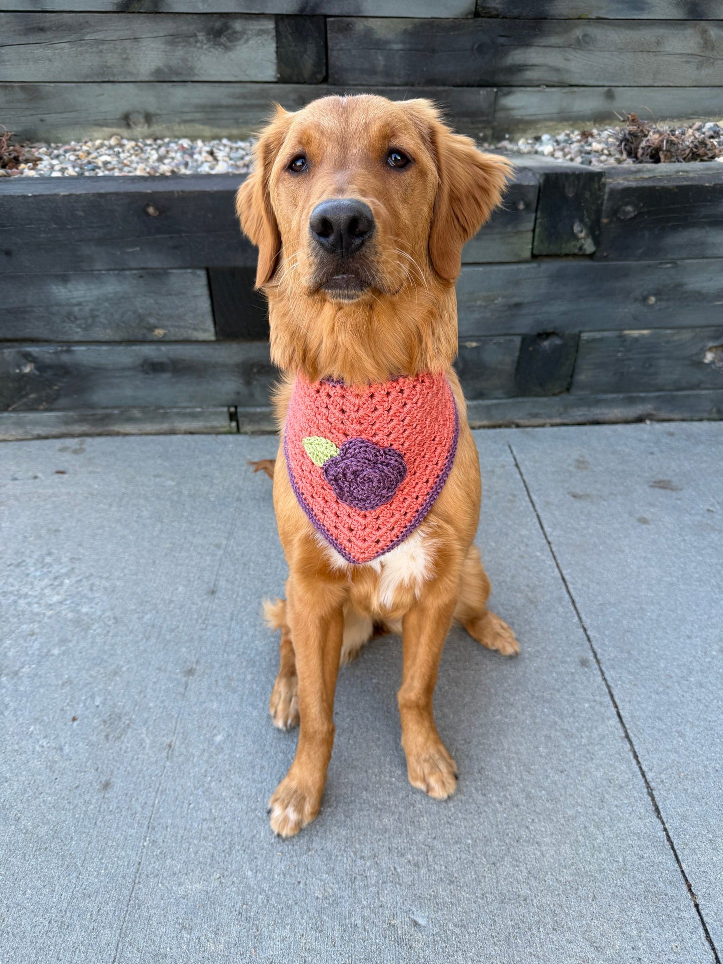 Rose Before Bros Bandana