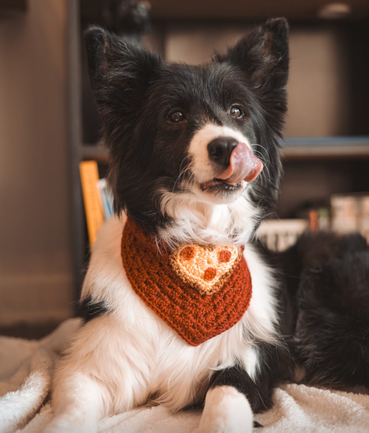 Pizza My Heart Bandana