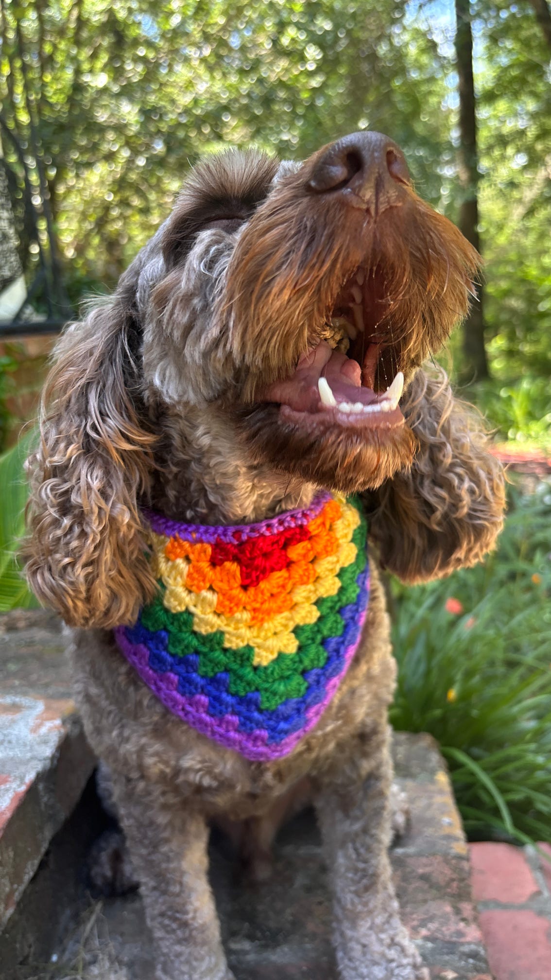 Striped Bandana of the Month