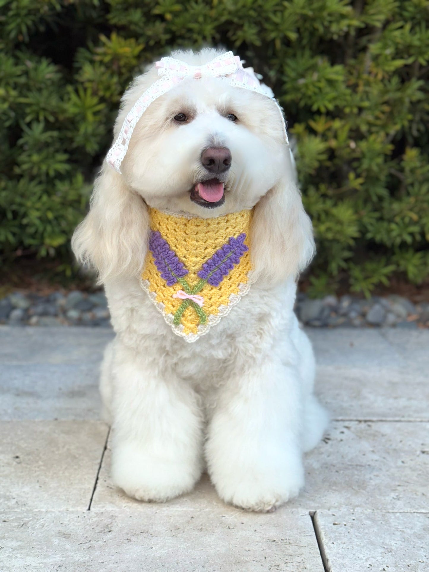 Lavender Dream Bandana