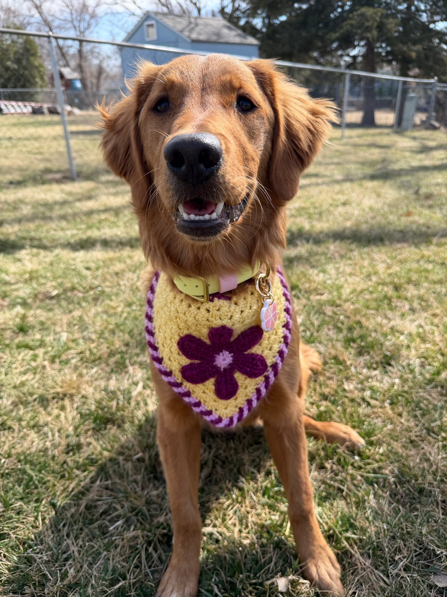 Groove Thang Bandana