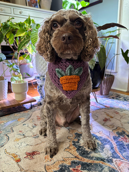 Water Me Never Bandana