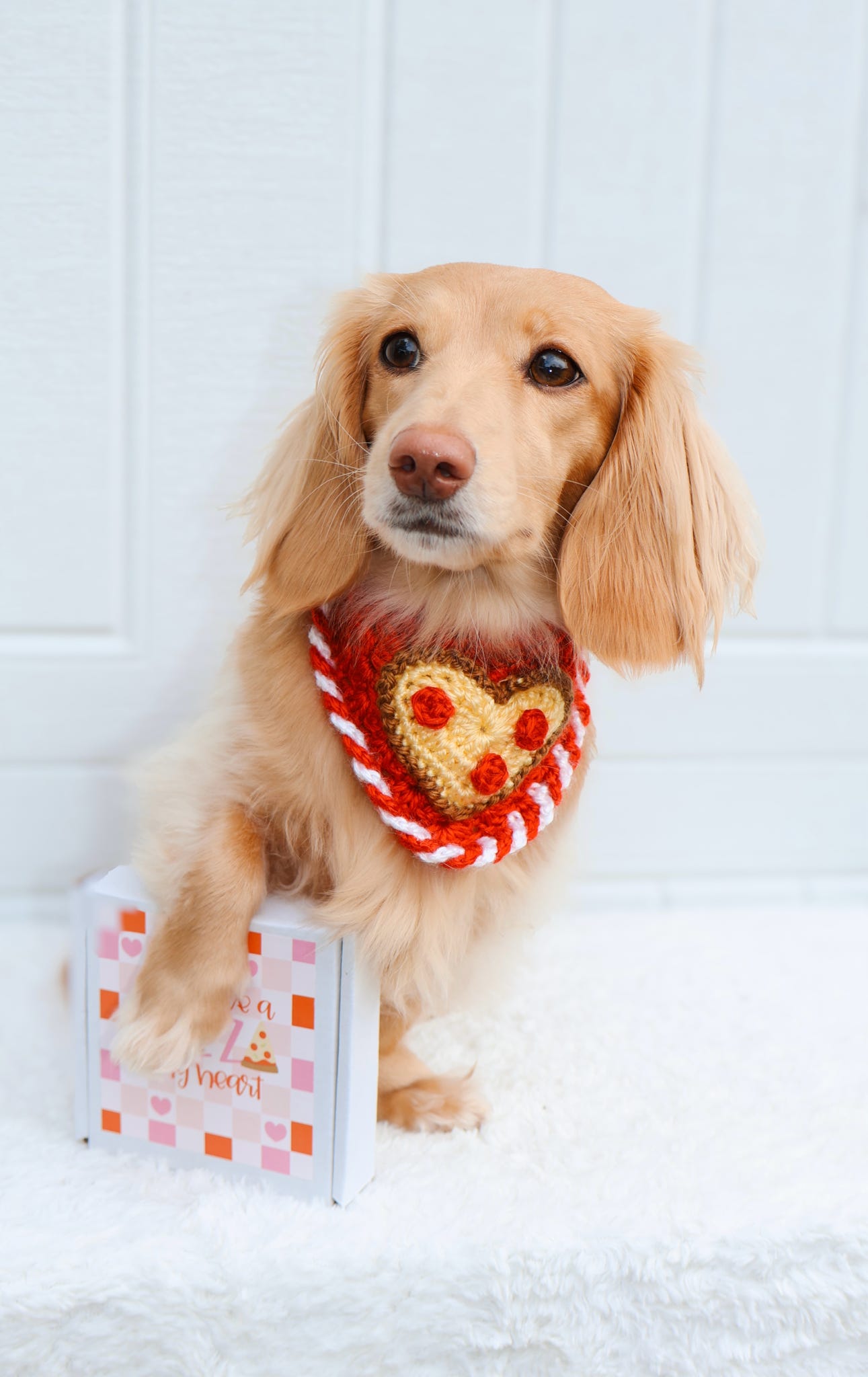 Pizza My Heart Bandana