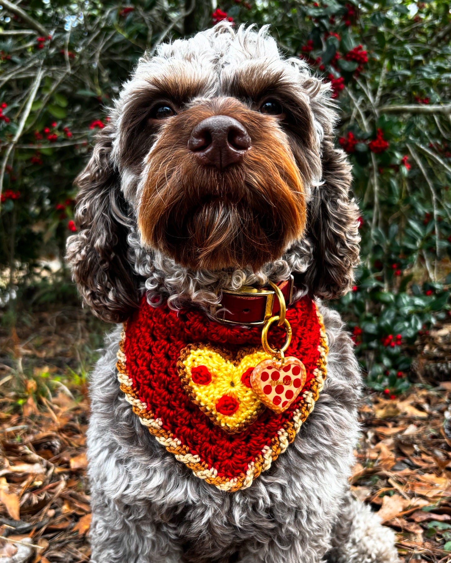 Pizza My Heart Bandana